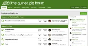 524e49-theguineapigforum-co-uk.webp