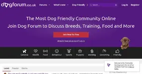 2fcfe8-dogforum-co-uk.webp