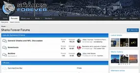 d551bb-sharksforever-com.webp