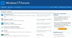 4667a7-windows11forums-com.webp