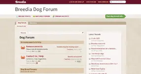 b34b5d-forum-breedia-com.webp