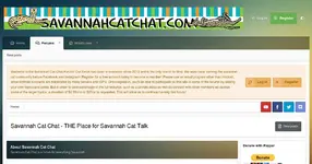 b20644-savannahcatchat-com.webp