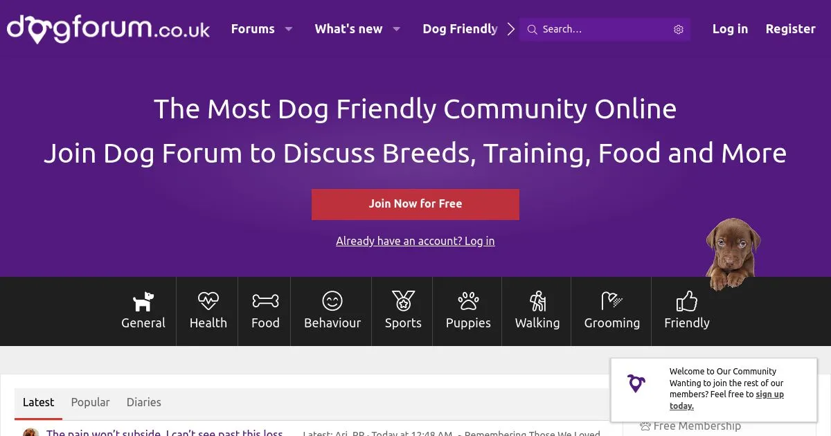 Dog Forum