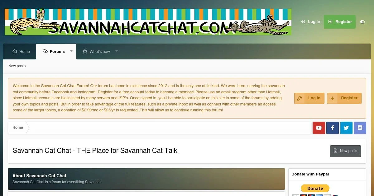 Savannah Cat Chat: Community for Savannah Cat Owners