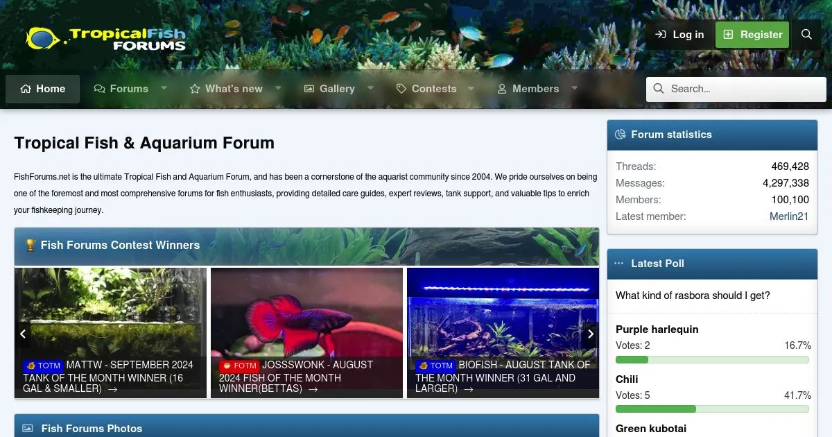 Tropical Fish and Aquarium Forum - Fish Forums